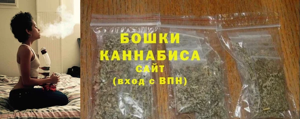 jwh Пересвет