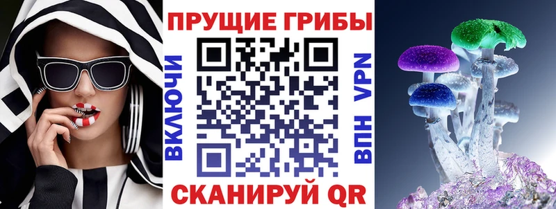 Галлюциногенные грибы Cubensis  Тырныауз 